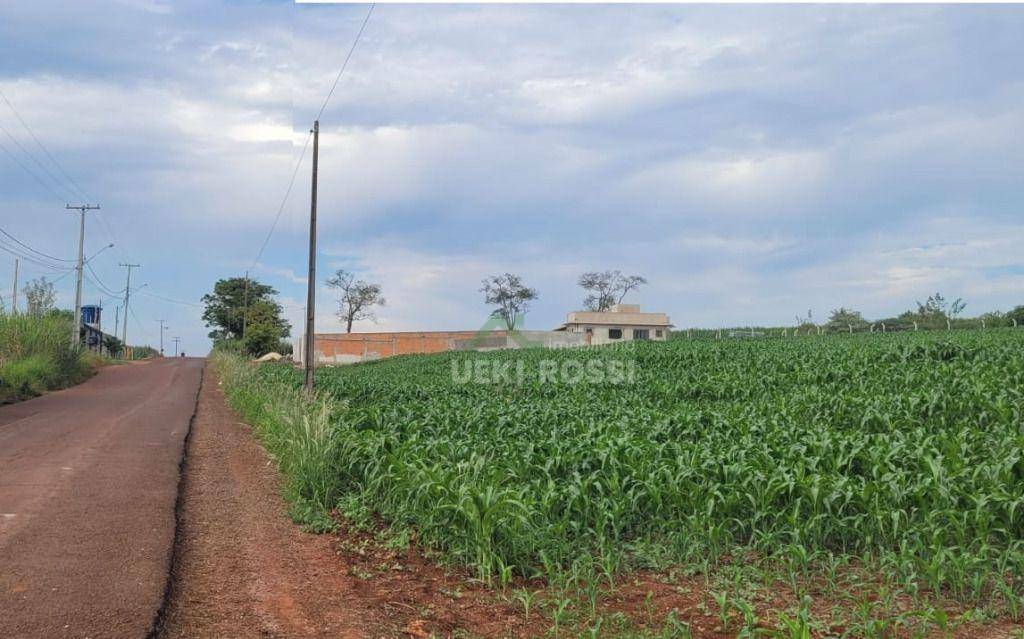Chácara à venda, 2000M2 - Foto 3