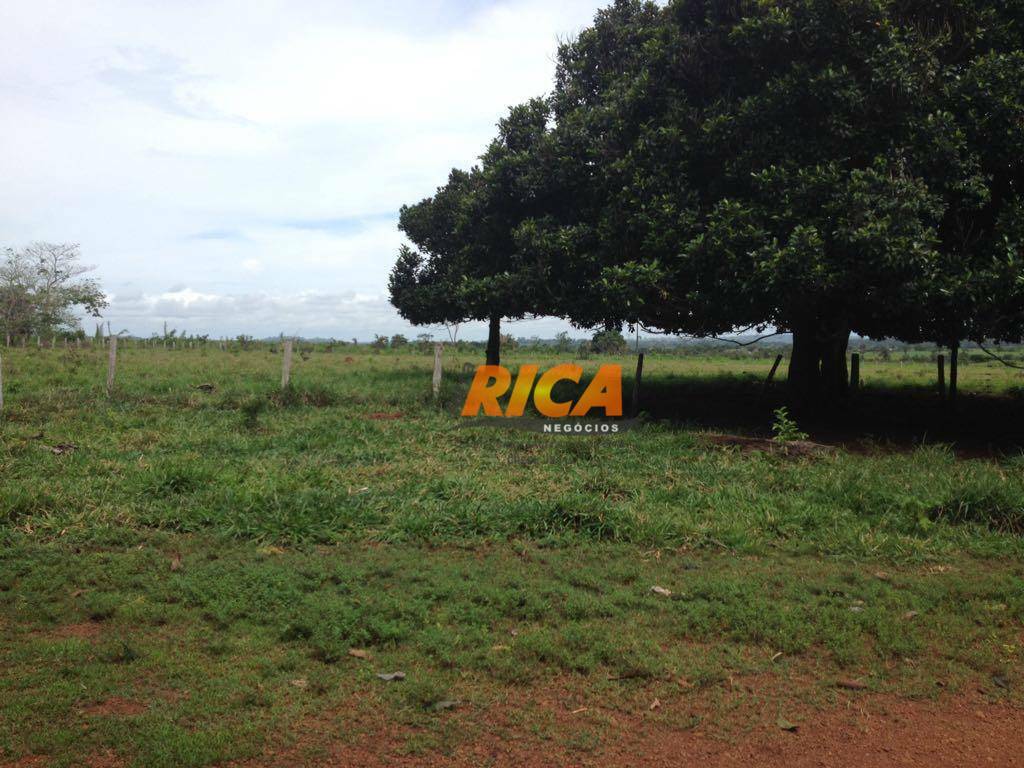 Fazenda à venda com 3 quartos, 1000000M2 - Foto 14