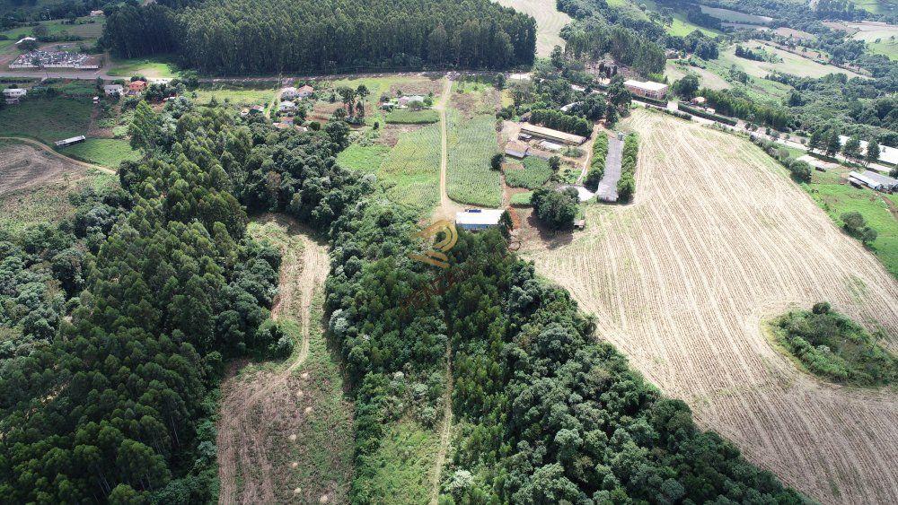 Terreno à venda, 36650m² - Foto 6