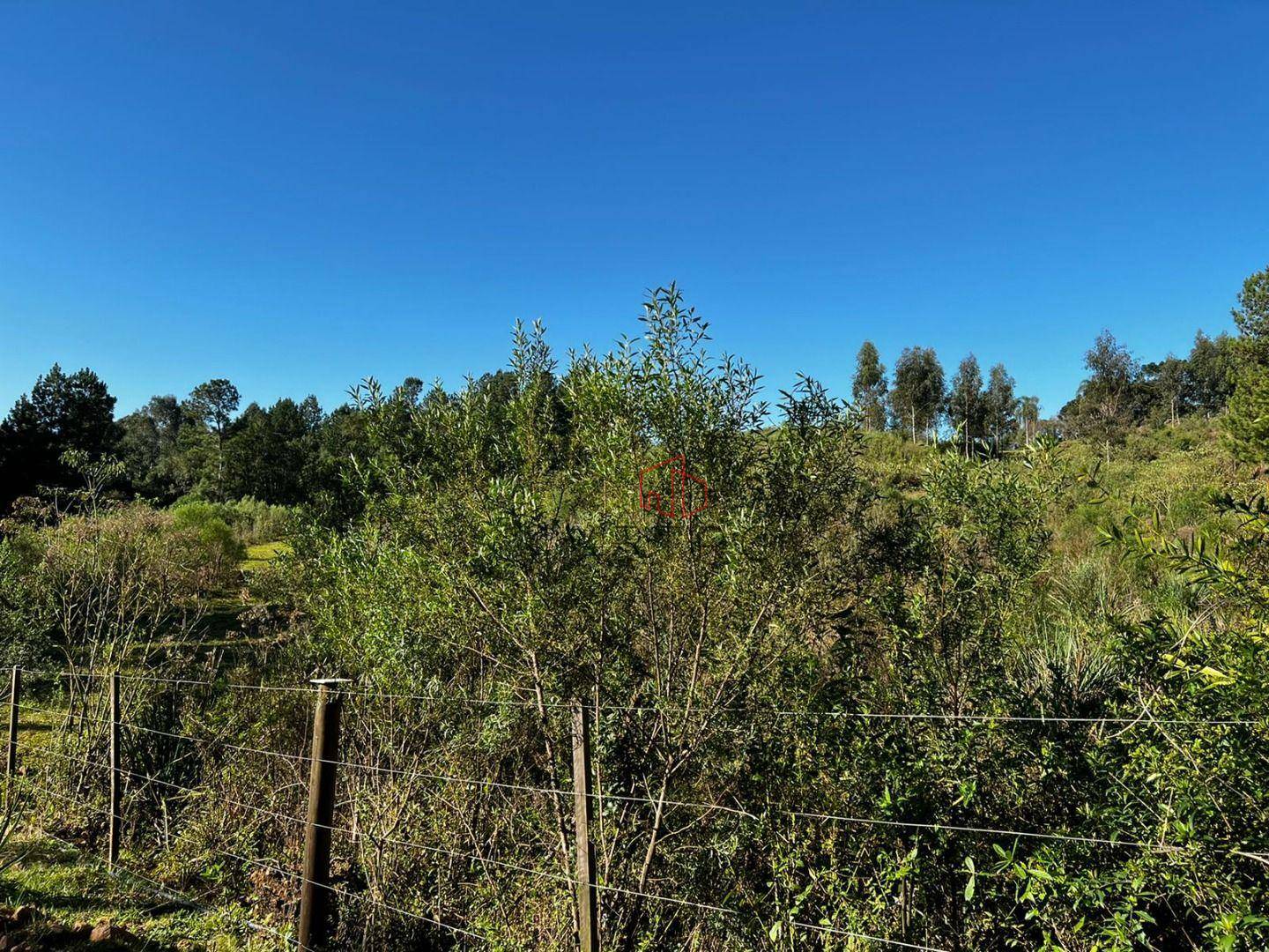 Terreno à venda, 6613M2 - Foto 3