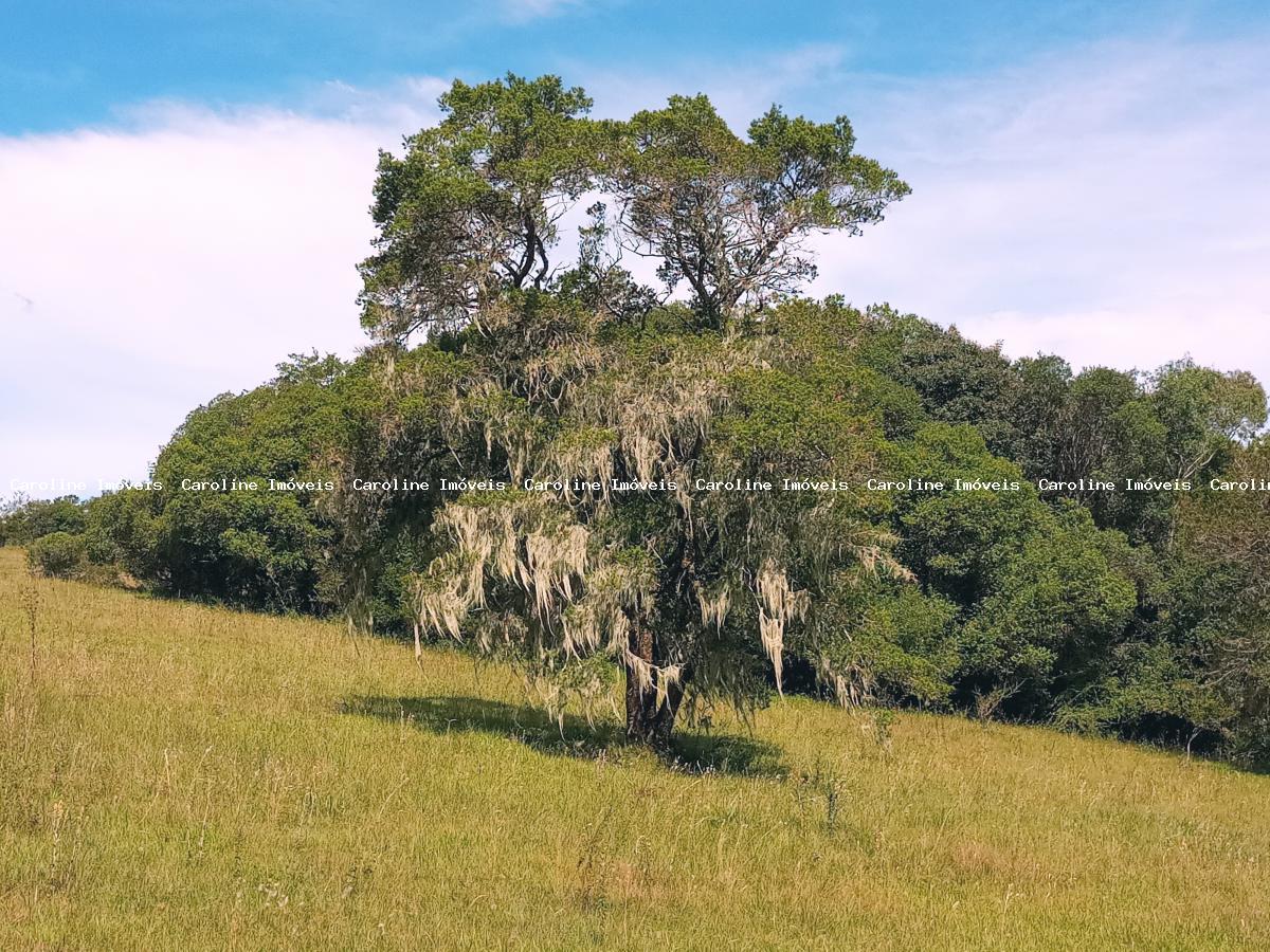 Fazenda à venda com 5 quartos, 625000m² - Foto 49