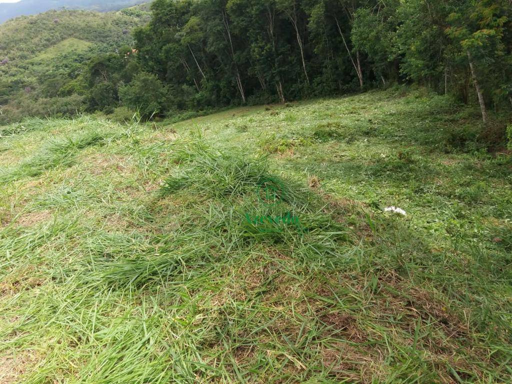 Loteamento e Condomínio à venda, 1275M2 - Foto 4