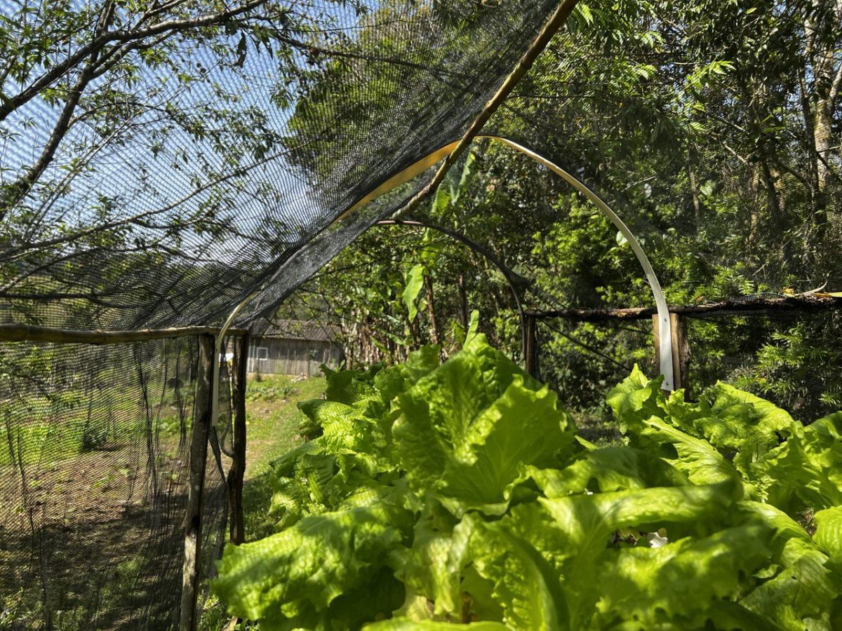 Fazenda à venda, 6300m² - Foto 59