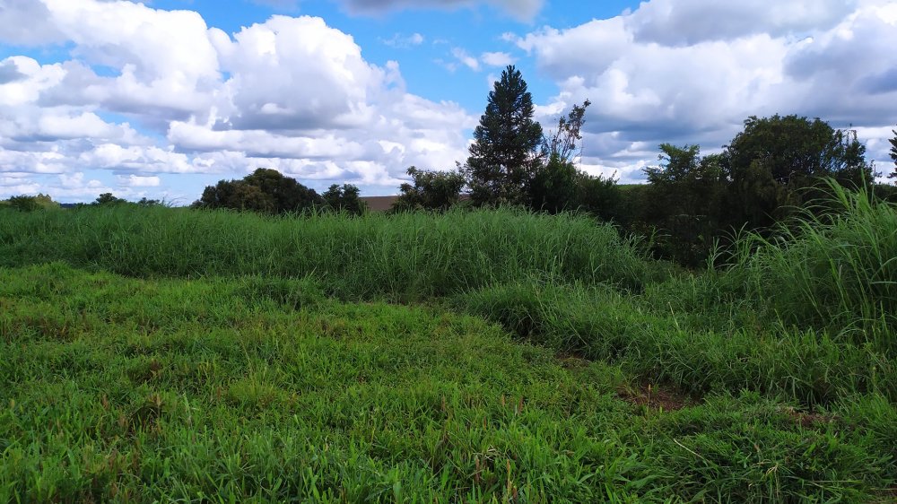 Fazenda à venda com 1 quarto, 2m² - Foto 7