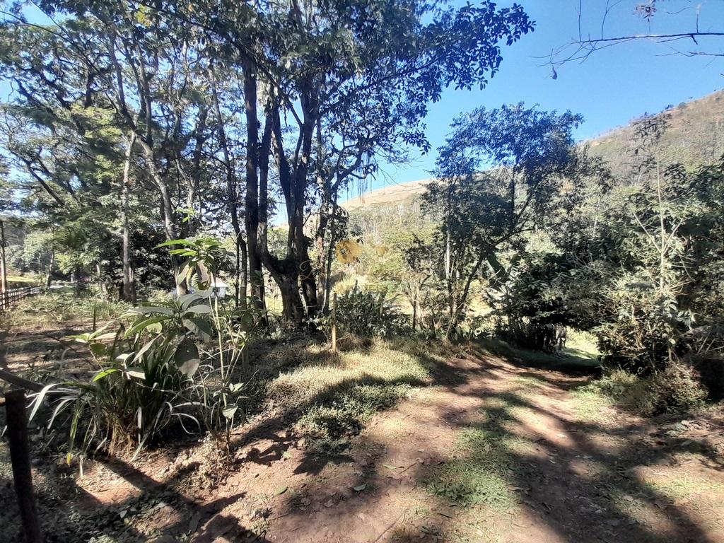 Fazenda à venda com 6 quartos, 387200m² - Foto 50