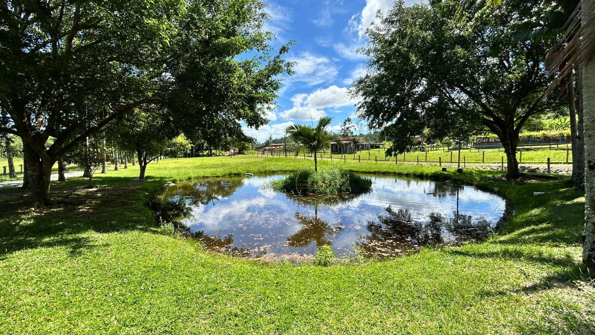 Chácara, 2 hectares - Foto 83