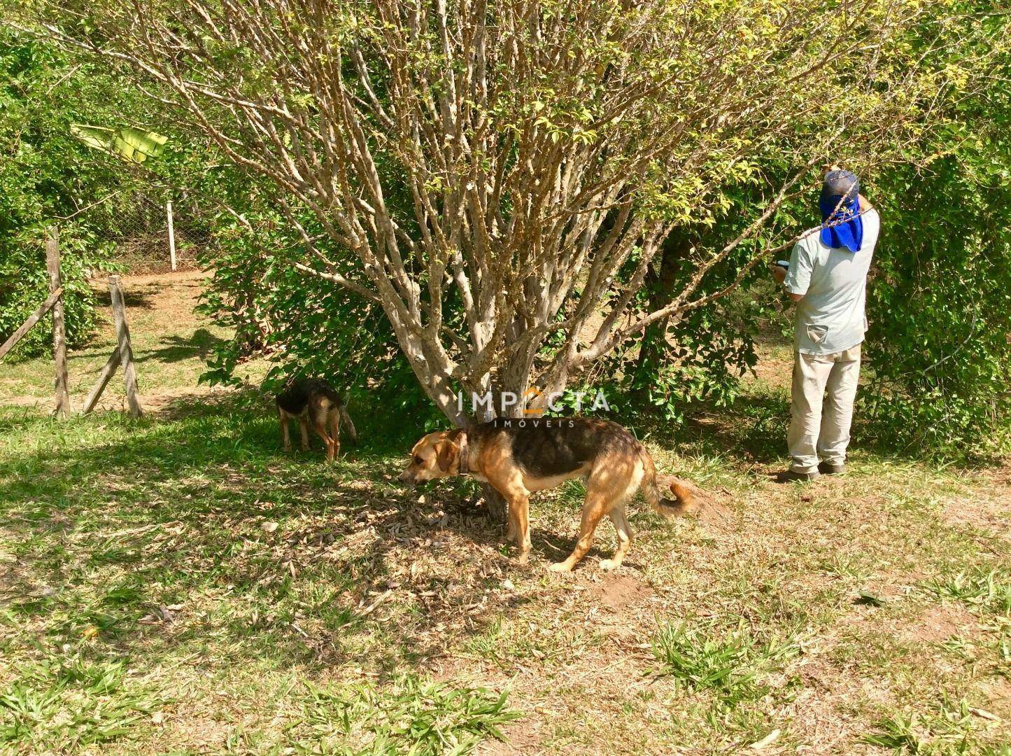 Chácara à venda com 3 quartos, 150m² - Foto 29