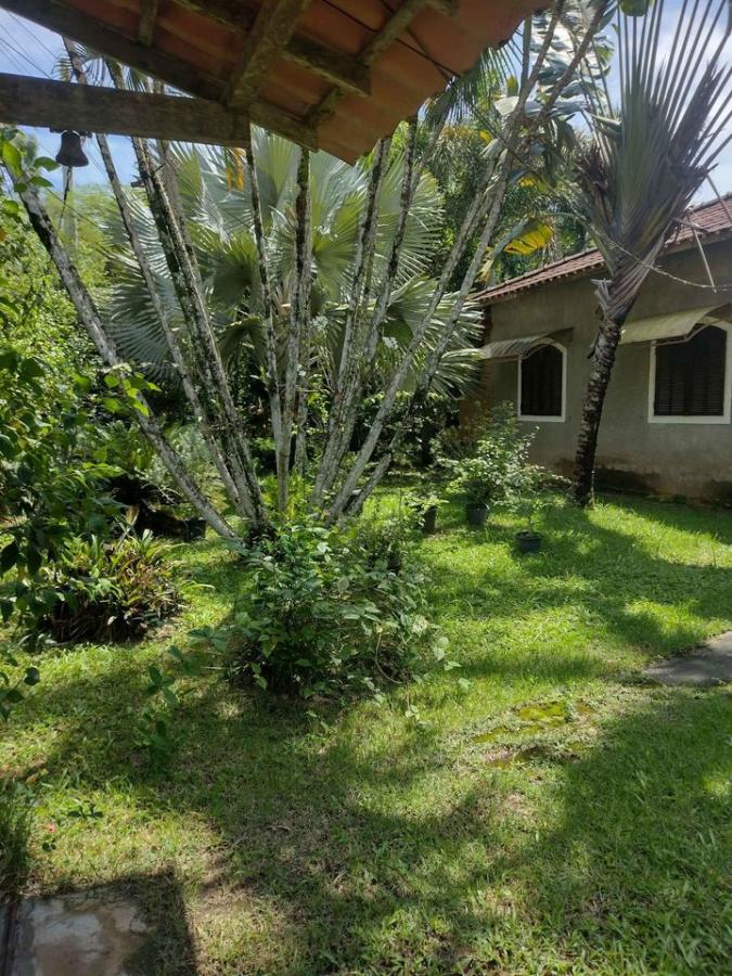 Fazenda à venda com 3 quartos, 62381m² - Foto 22