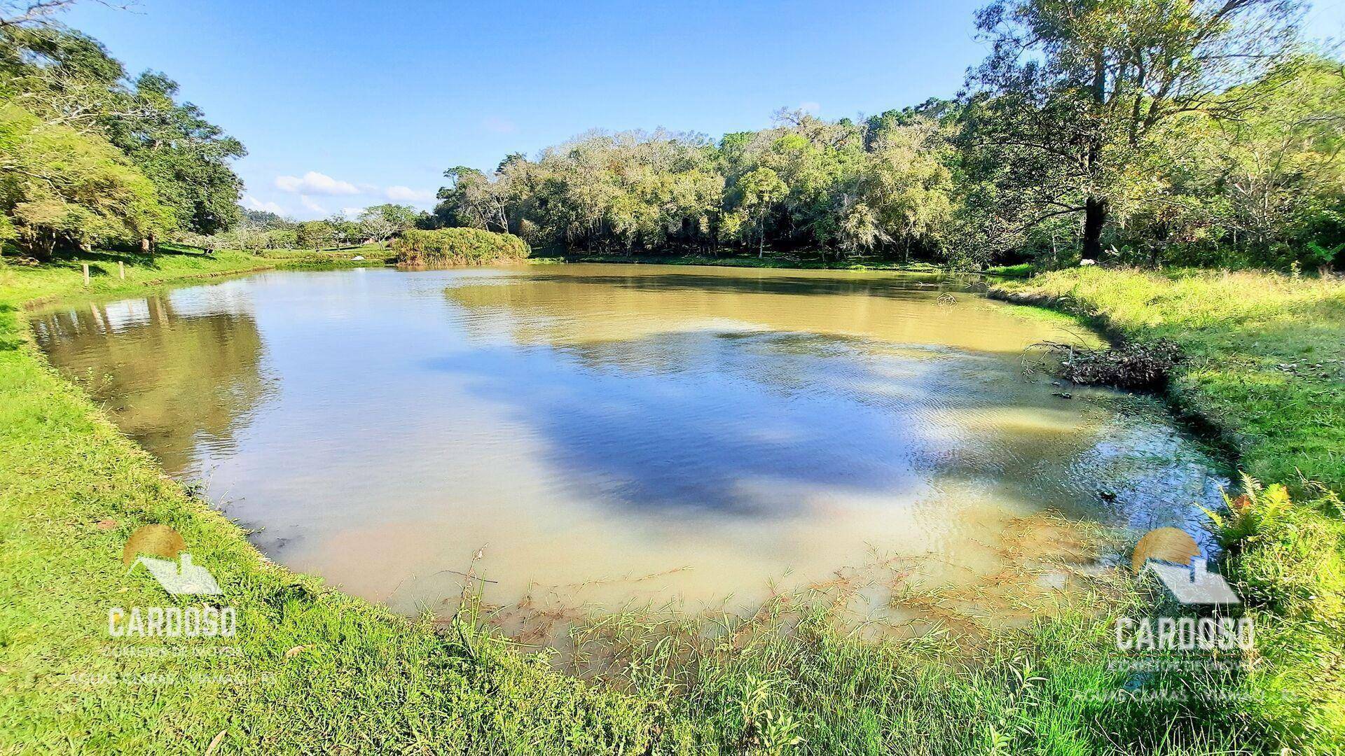 Sítio à venda, 47000M2 - Foto 5