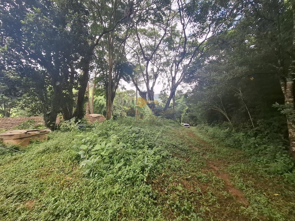 Sítio à venda com 5 quartos, 96800m² - Foto 42