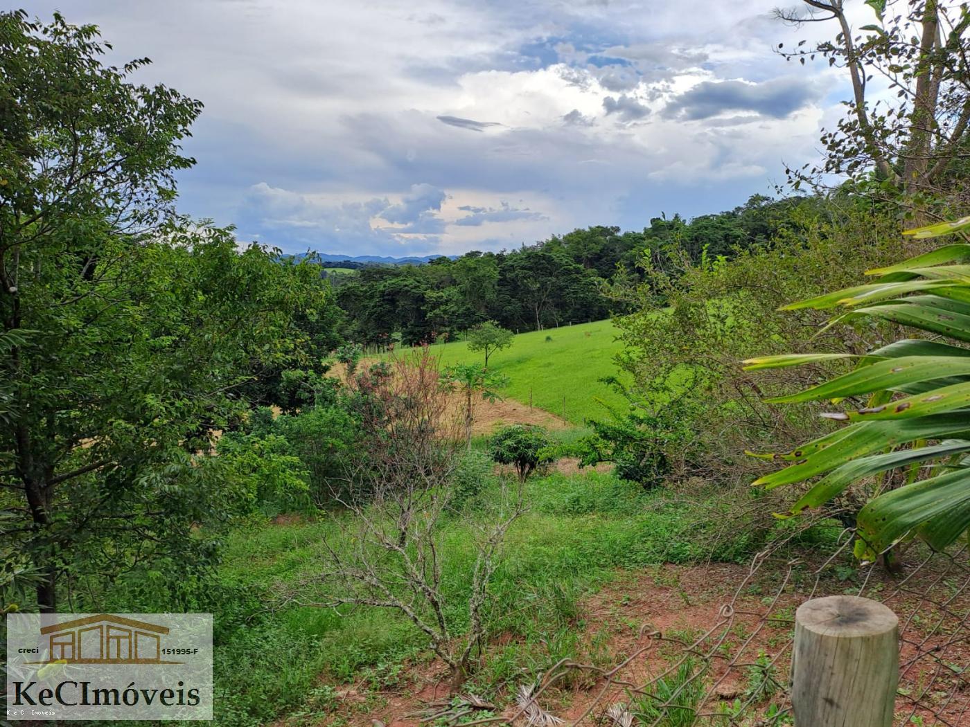 Fazenda à venda com 3 quartos, 12000m² - Foto 17