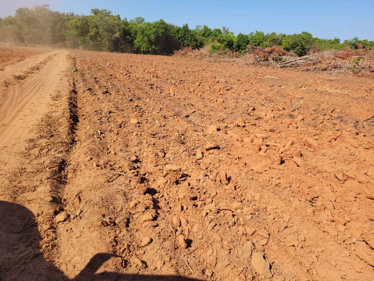 Fazenda à venda, 92830000M2 - Foto 2