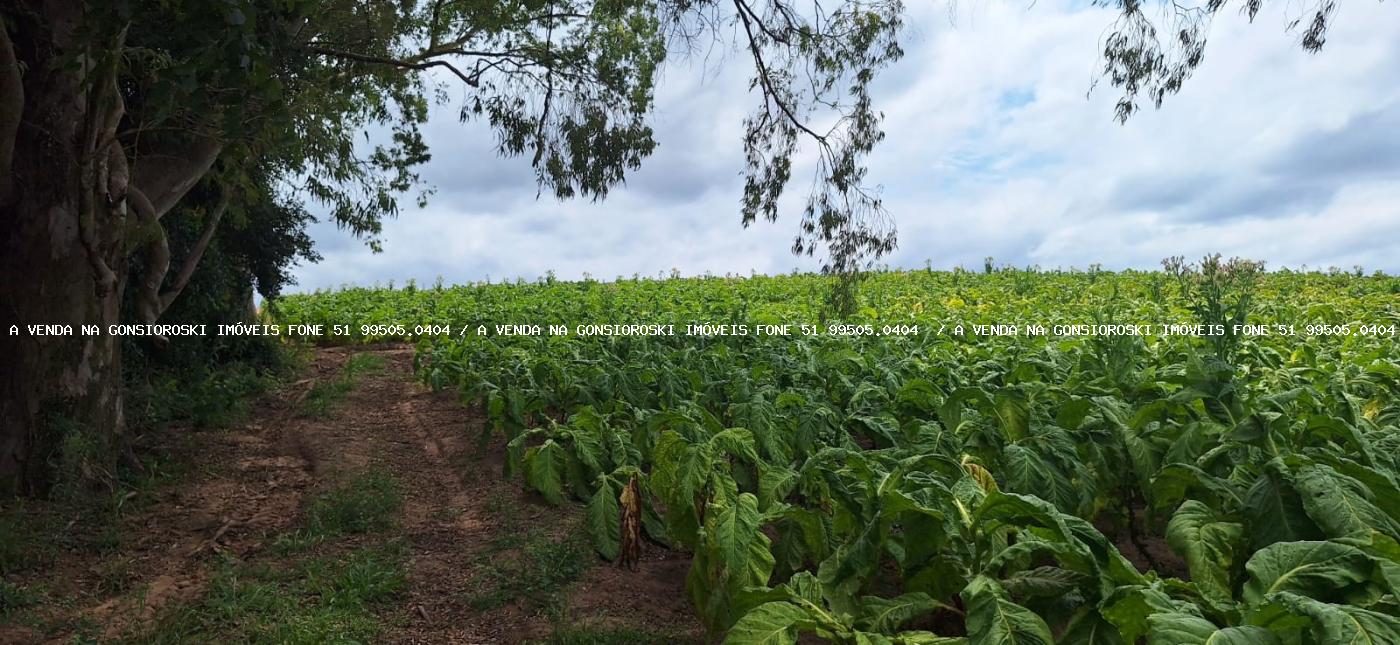 Loteamento e Condomínio à venda, 125000m² - Foto 20