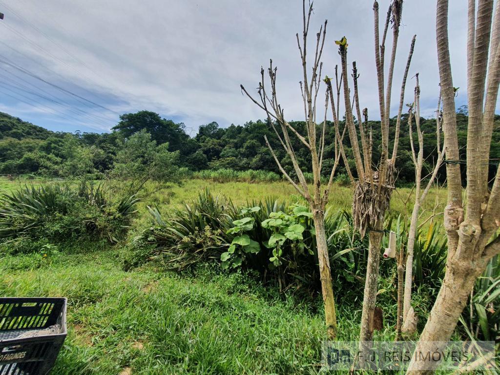 Fazenda à venda com 3 quartos, 8800m² - Foto 32