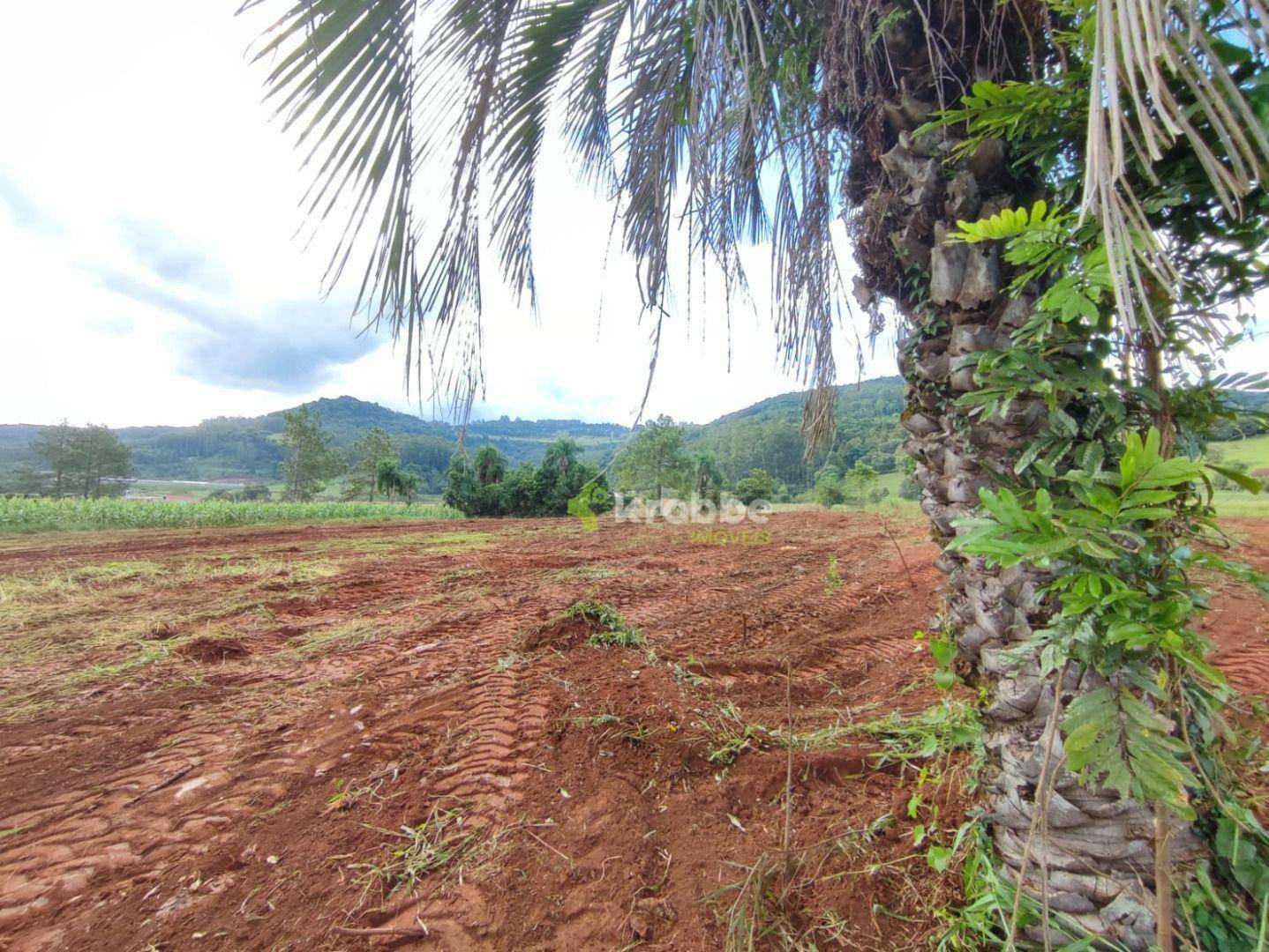 Terreno à venda, 17000M2 - Foto 10