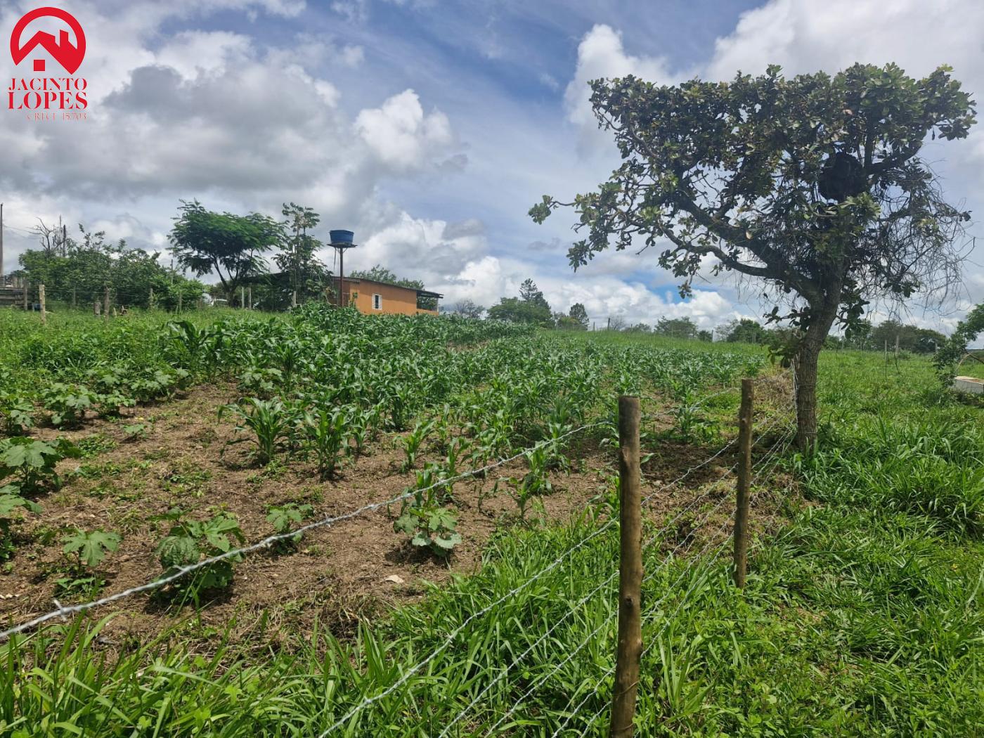 Fazenda à venda com 2 quartos, 120m² - Foto 26