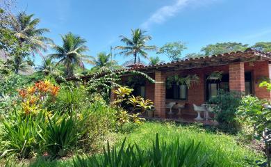 Fazenda à venda com 3 quartos, 8000m² - Foto 8