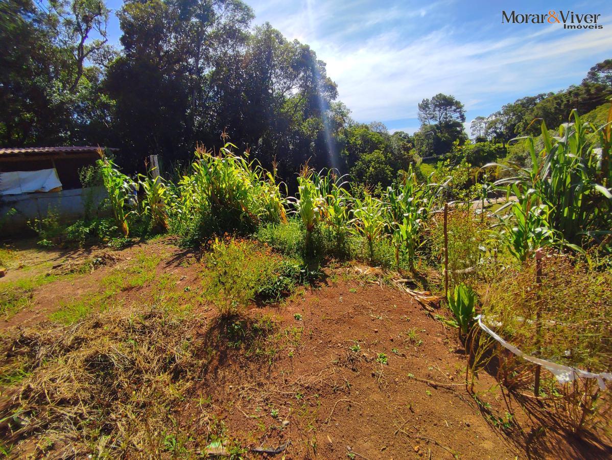 Chácara, 2 quartos, 7724 m² - Foto 30