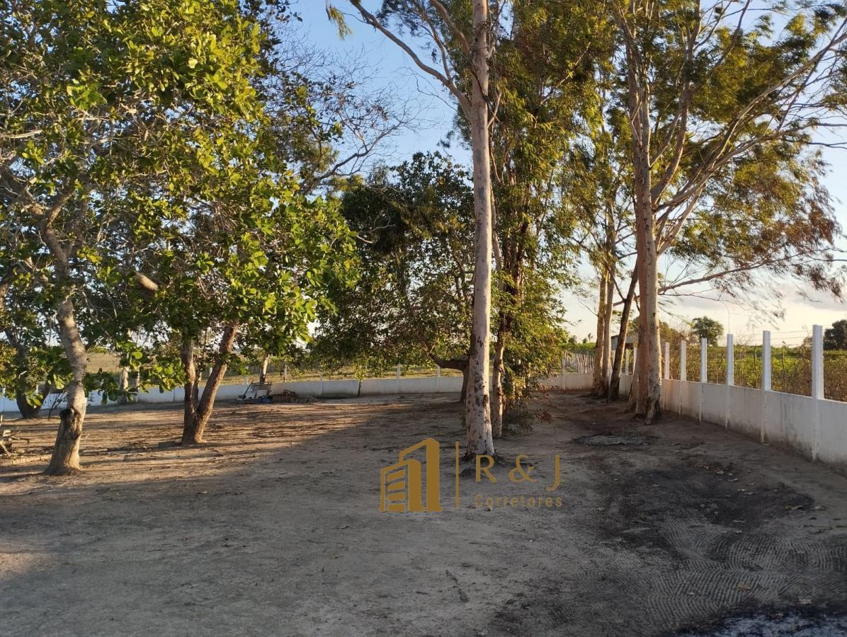 Chácara à venda com 5 quartos, 5000m² - Foto 21