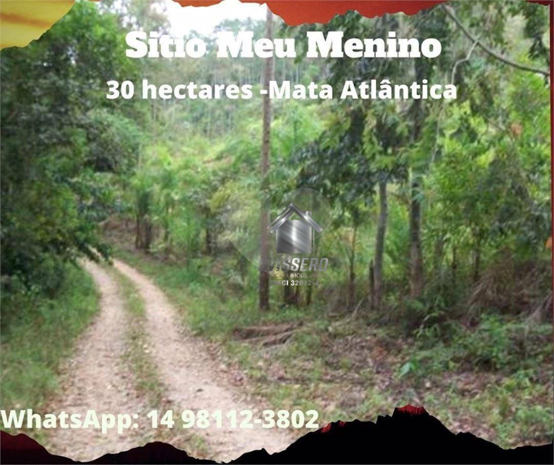 Sítio, 73 hectares - Foto 3