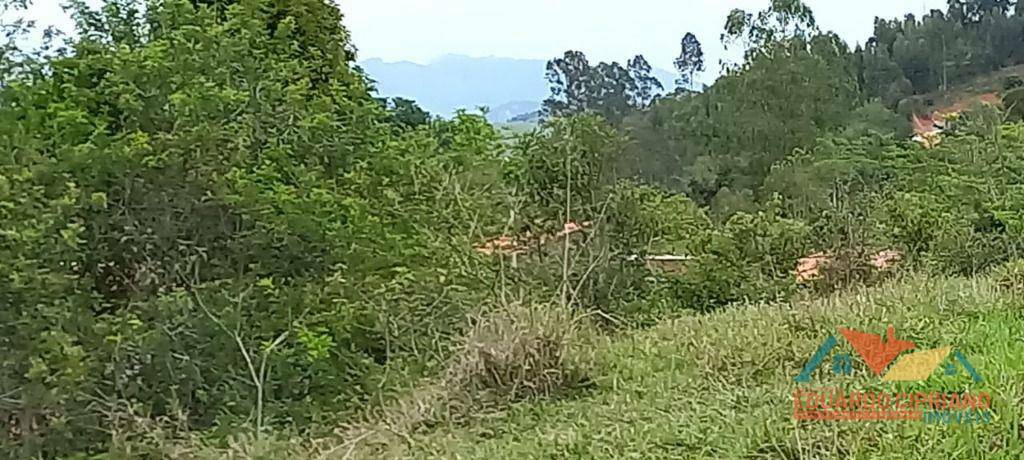 Terreno à venda, 31000M2 - Foto 14