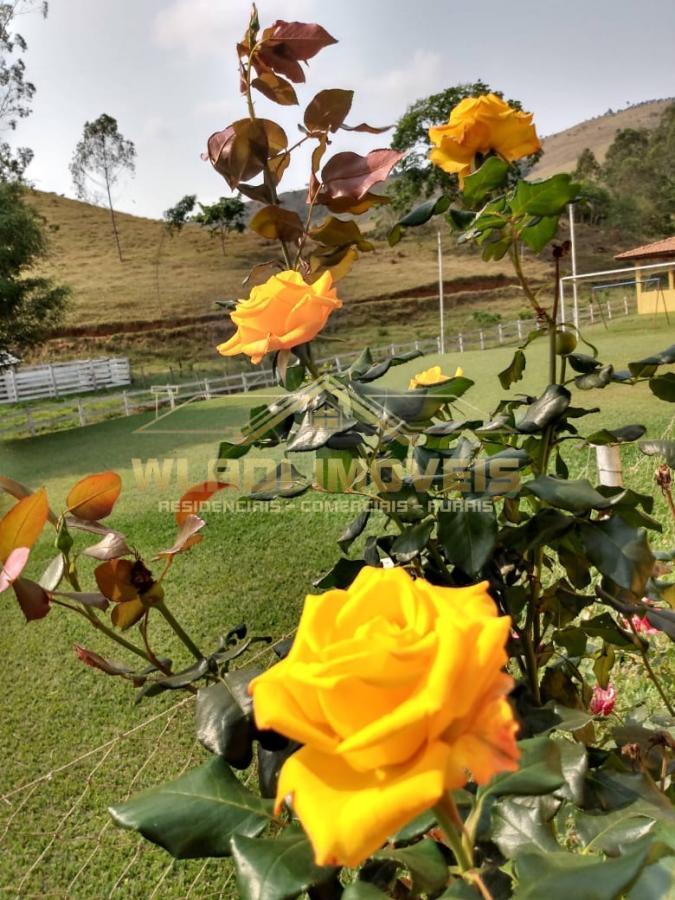 Fazenda à venda com 3 quartos, 50000m² - Foto 24