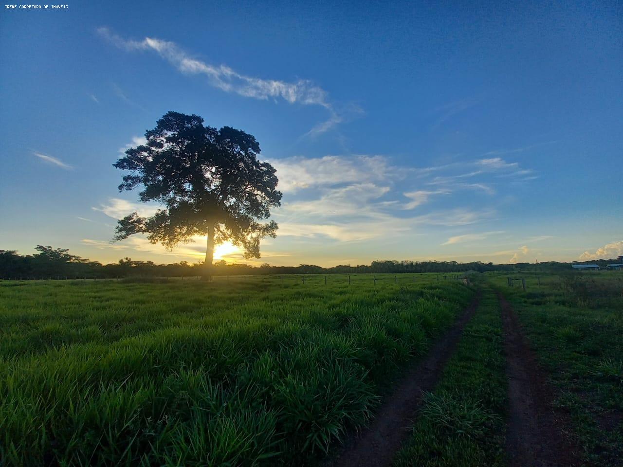 Fazenda à venda, 107000m² - Foto 1