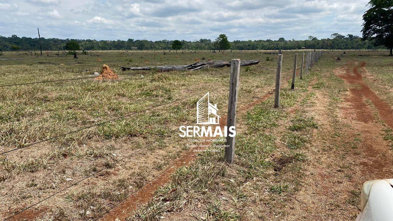 Fazenda-Sítio-Chácara, 232 hectares - Foto 3