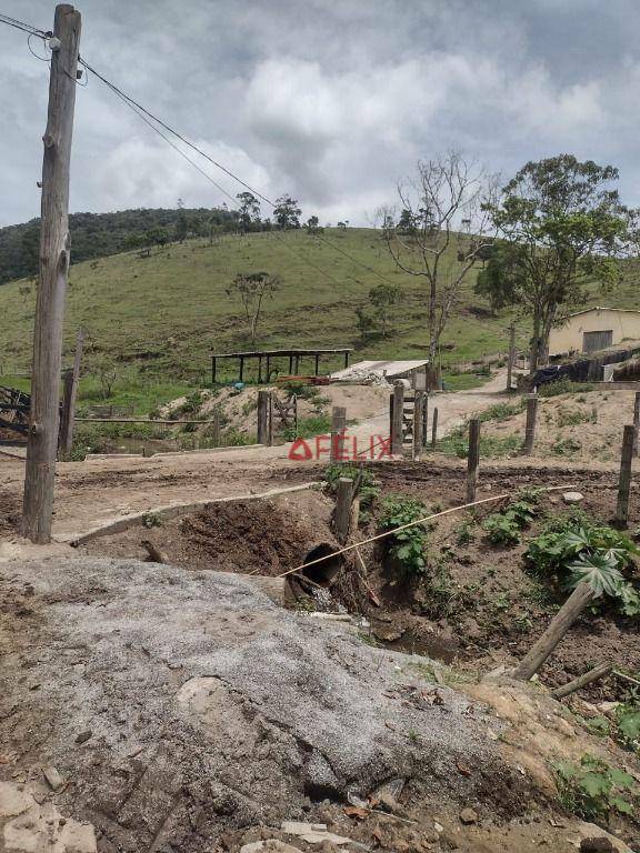 Fazenda à venda com 3 quartos, 1400000M2 - Foto 7