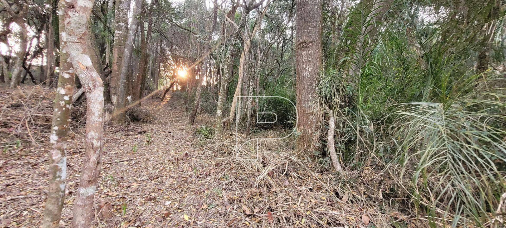 Loteamento e Condomínio à venda, 1500M2 - Foto 5