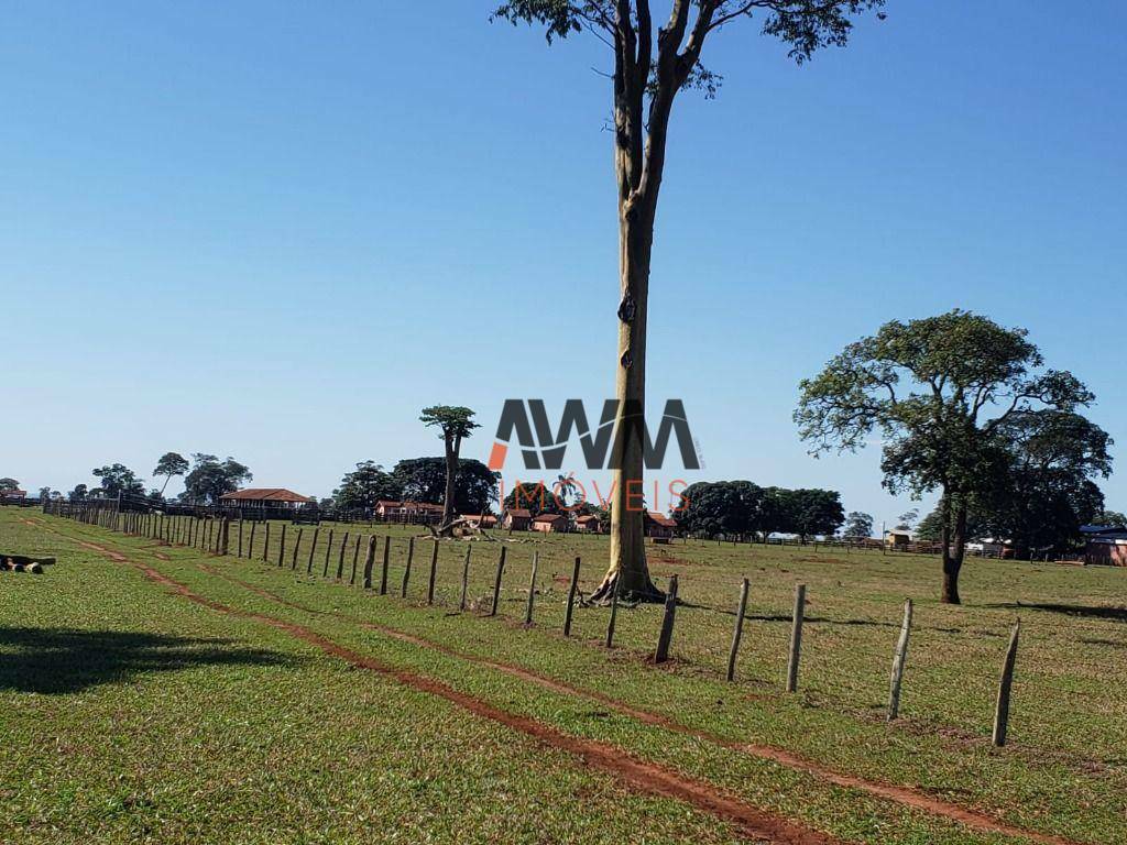 Fazenda à venda, 10769000M2 - Foto 17