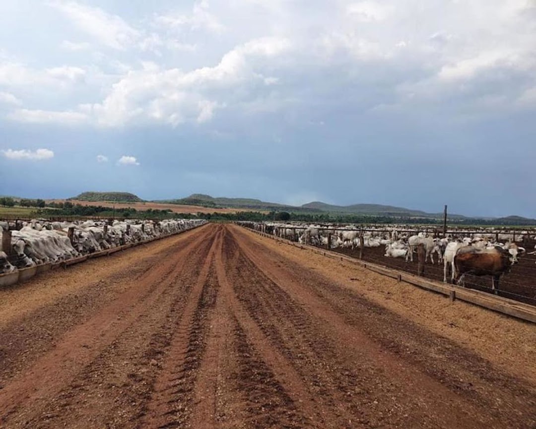 Fazenda à venda - Foto 1