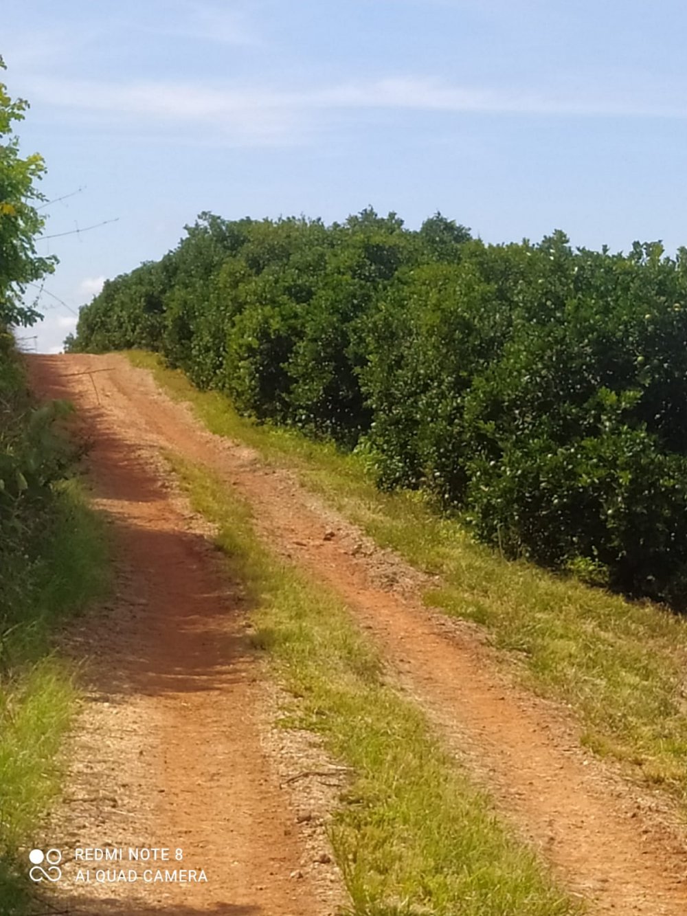 Fazenda à venda, 120m² - Foto 5