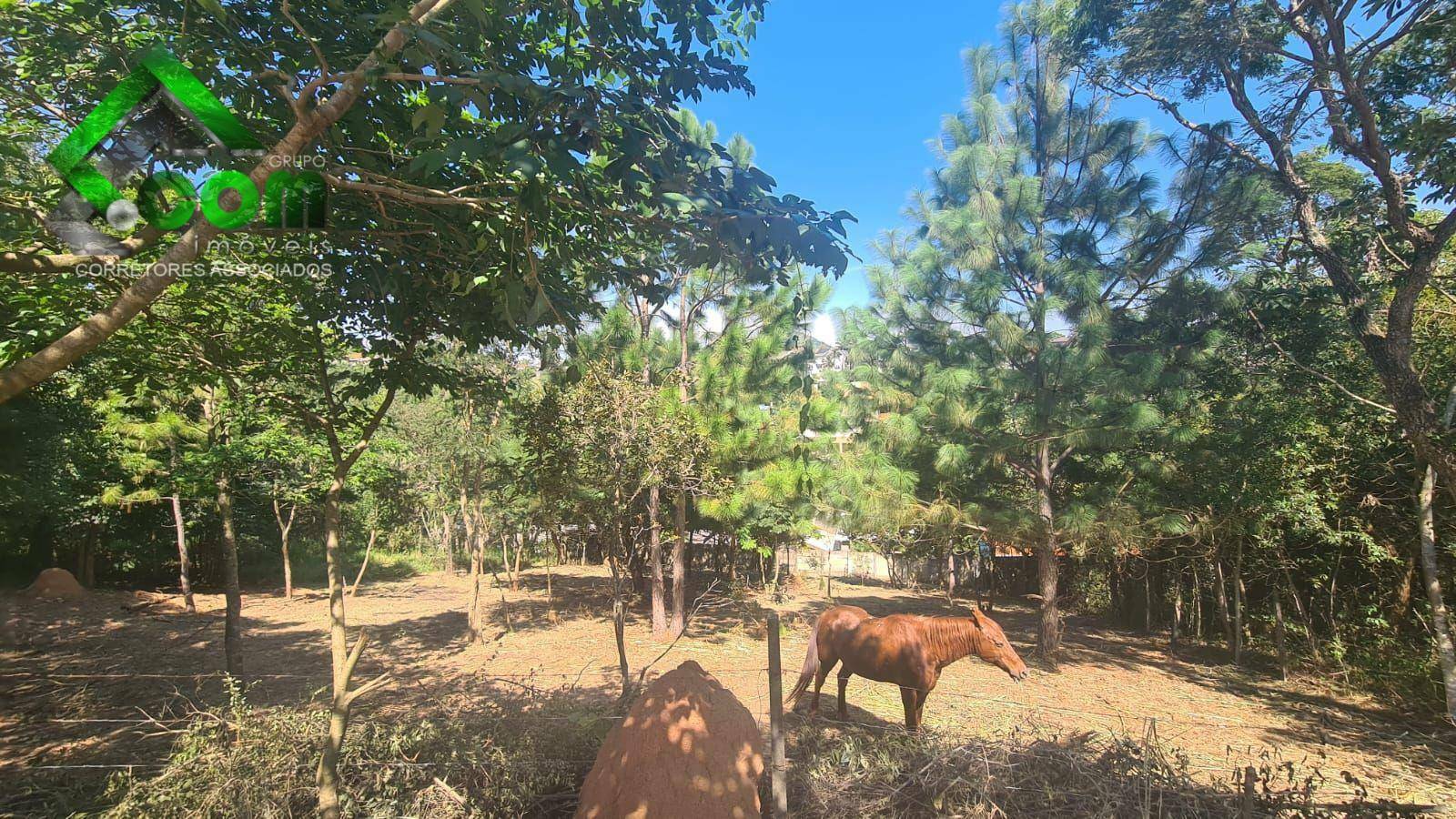 Terreno à venda, 971M2 - Foto 19