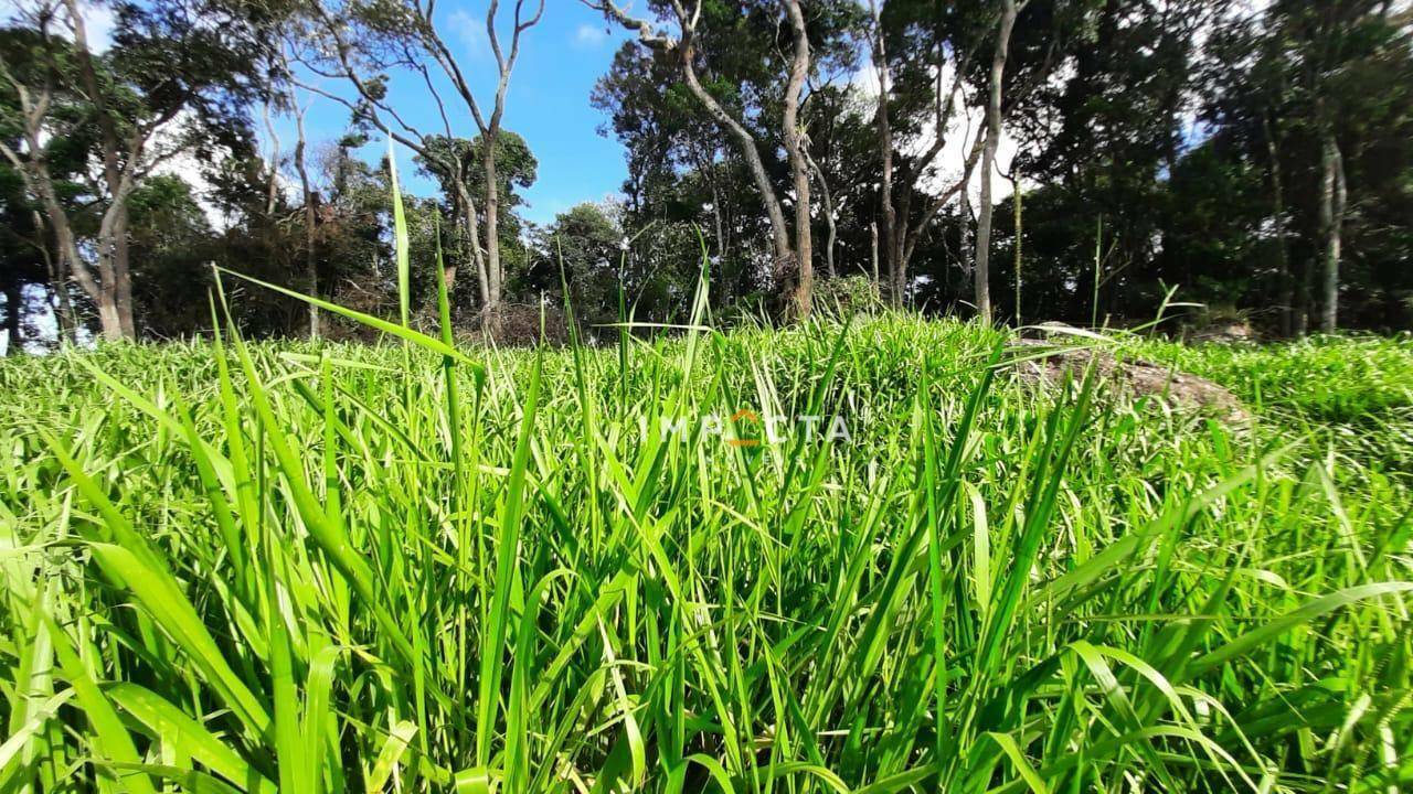 Sítio à venda com 3 quartos, 240000M2 - Foto 25