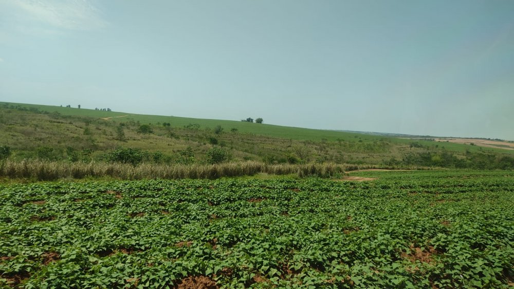 Fazenda-Sítio-Chácara, 365 hectares - Foto 1