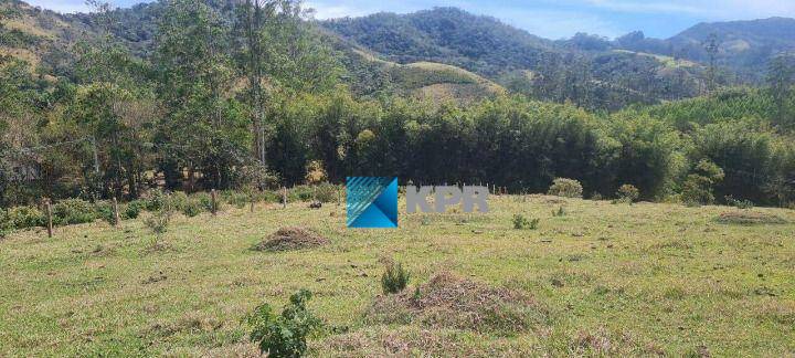 Fazenda-Sítio-Chácara, 56 hectares - Foto 25