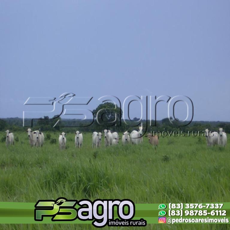 Fazenda-Sítio-Chácara, 83848 hectares - Foto 1