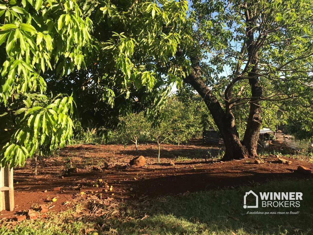 Chácara à venda com 1 quarto, 3000M2 - Foto 7