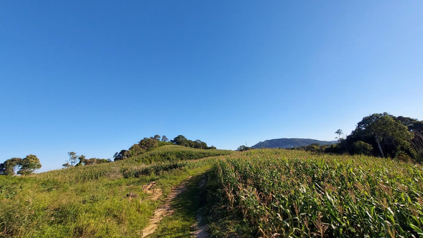 Fazenda à venda com 2 quartos, 925500m² - Foto 21