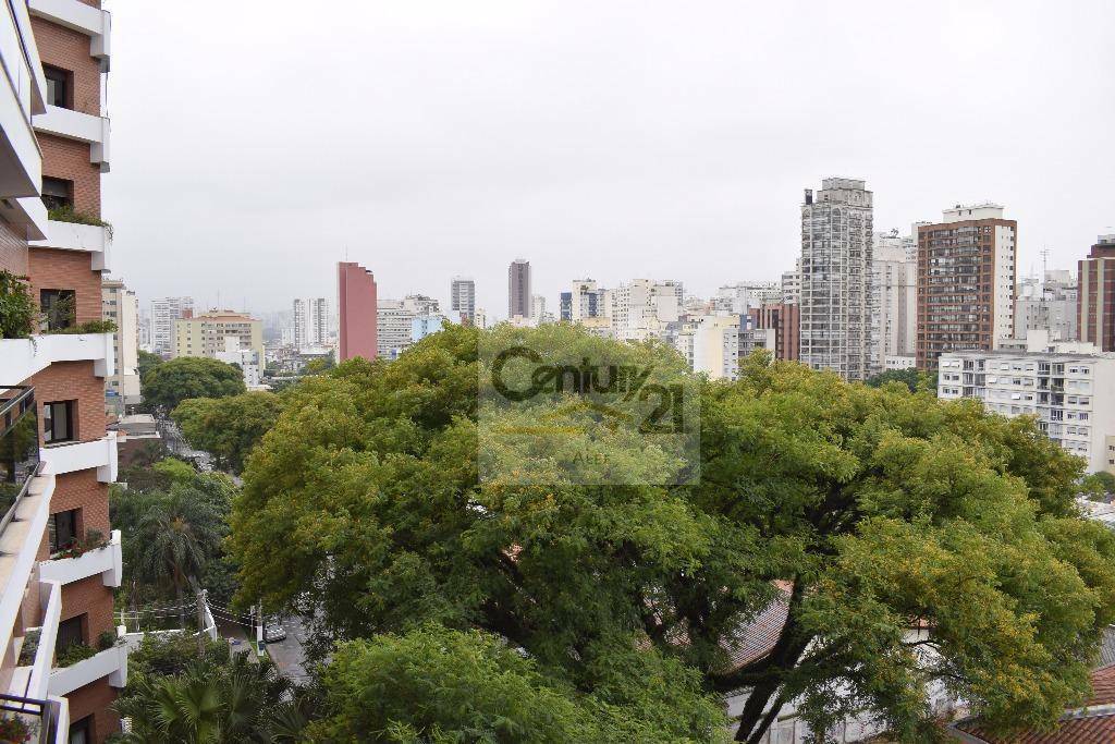 Apartamento à venda com 4 quartos, 275m² - Foto 5