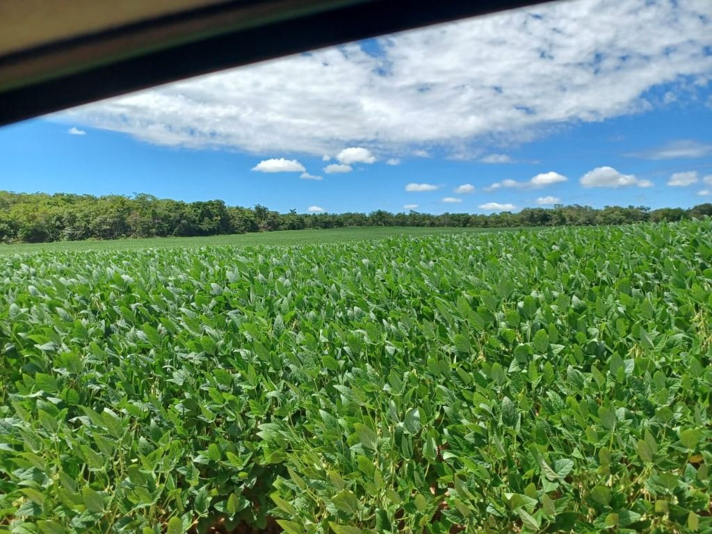 Fazenda à venda, 31060000M2 - Foto 12