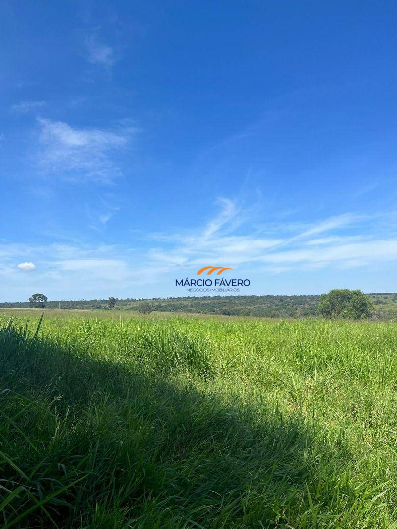 Fazenda, 322 hectares - Foto 26