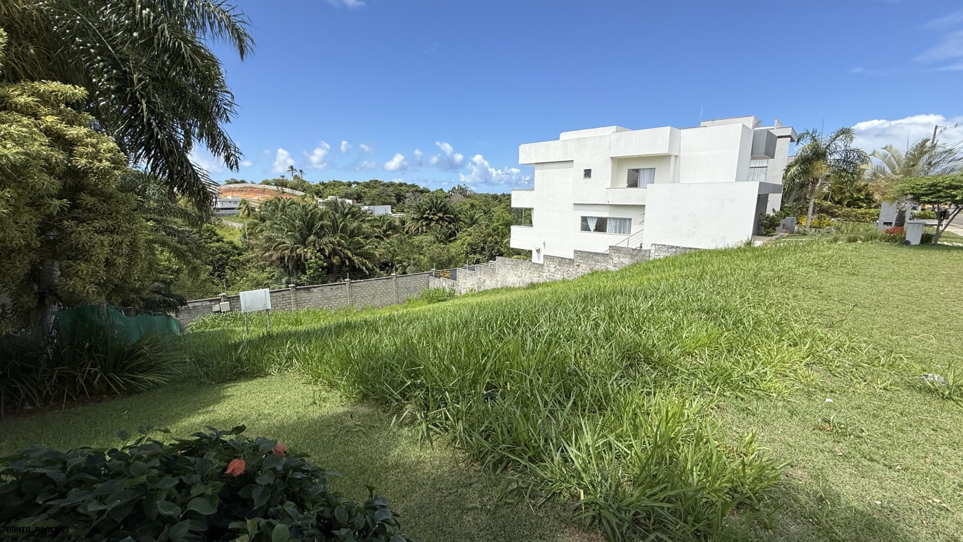 Terreno à venda, 392m² - Foto 4