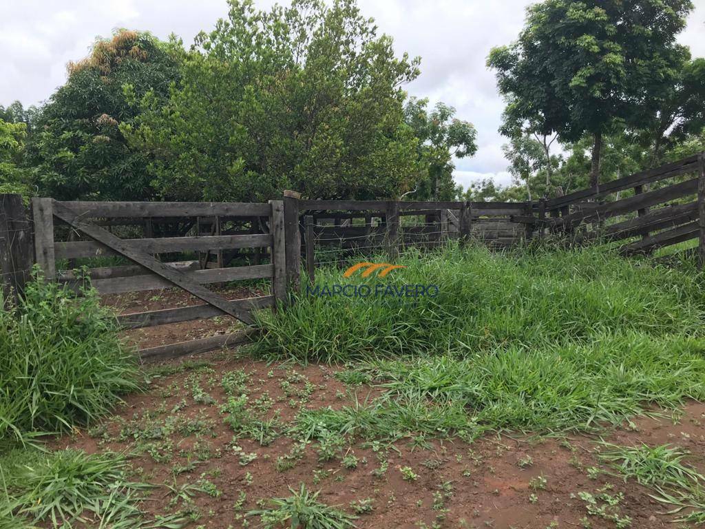 Fazenda à venda, 4250000M2 - Foto 8