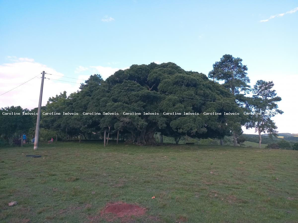 Fazenda à venda, 160000m² - Foto 23