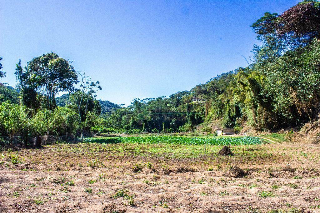 Terreno à venda, 2335M2 - Foto 2