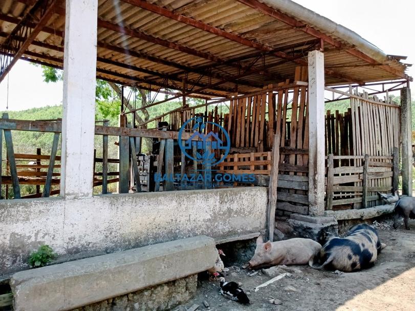 Fazenda à venda com 2 quartos, 11m² - Foto 8