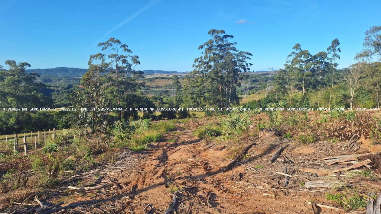 Sítio à venda com 2 quartos, 96000m² - Foto 12
