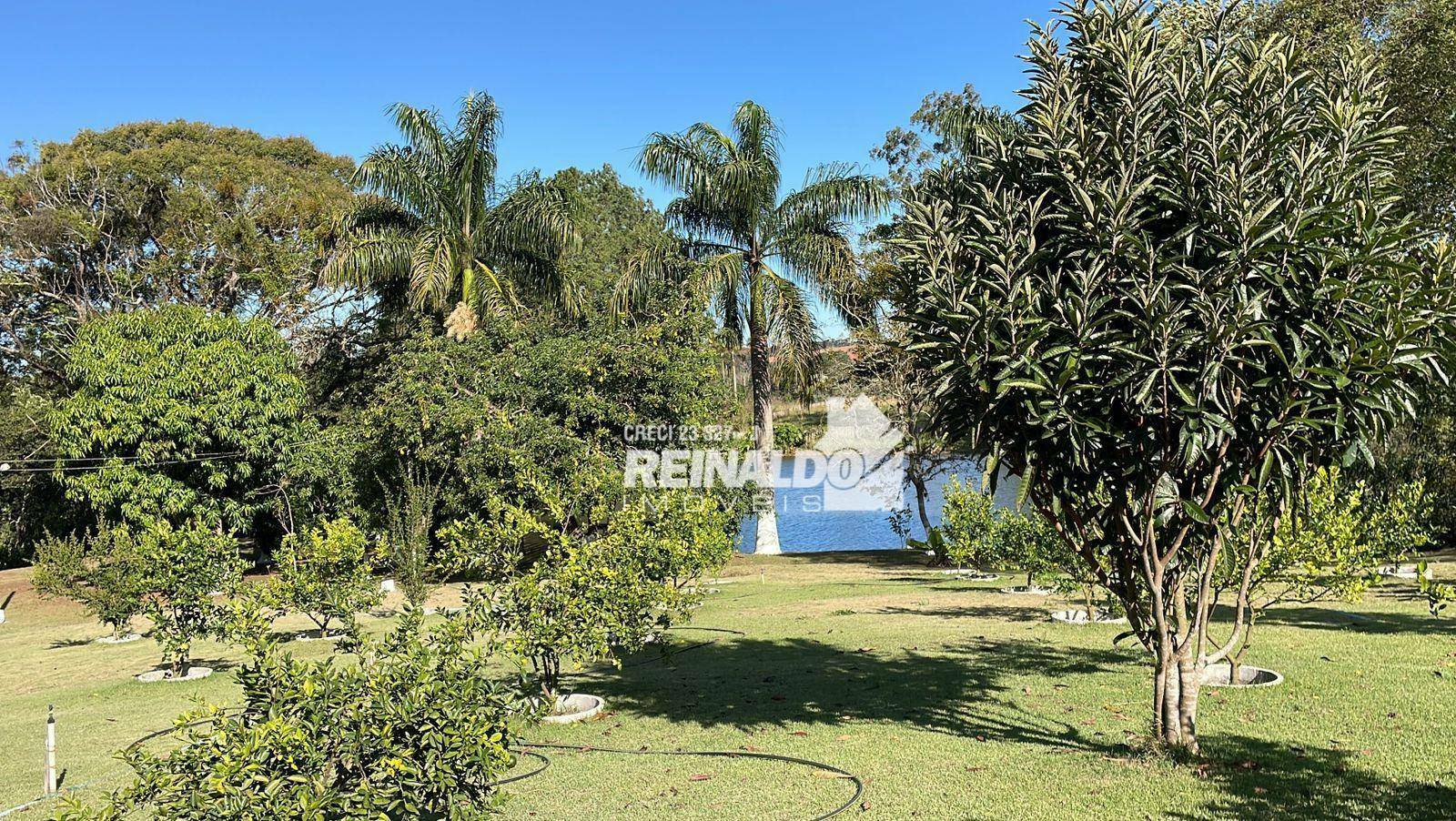 Sítio à venda com 2 quartos, 800m² - Foto 13